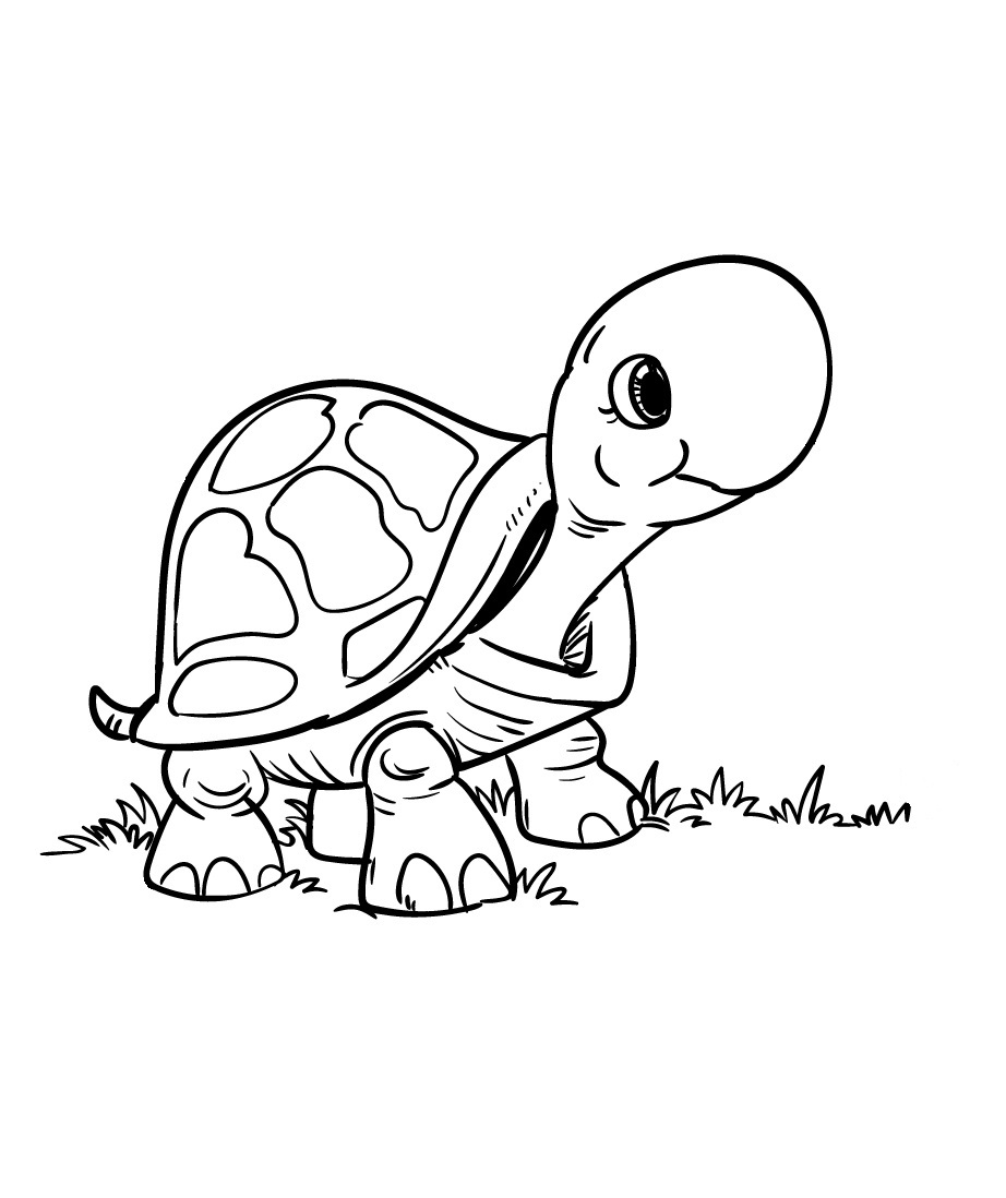 Ausmalbilder Schildkröte Kostenlos als PDF